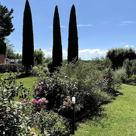 Gemma Toscana *