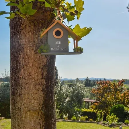 Gemma Toscana Capannoli